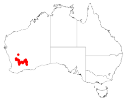 Acacia consanguineaDistMap212.png