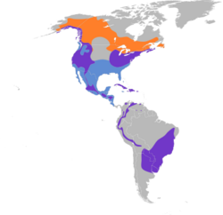 Accipiter striatus map.svg