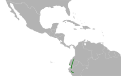 Amaurospiza aequatorialis map.svg