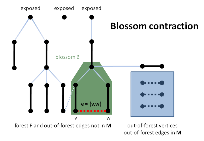 File:Blossom contraction.png