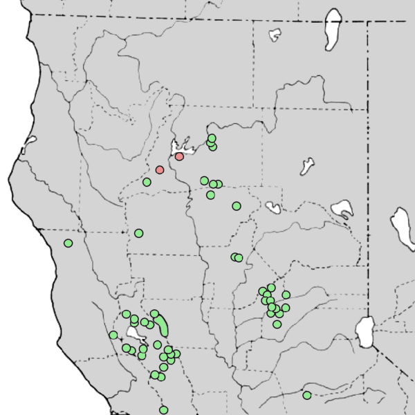 File:Cupressus macnabiana range map 4.png