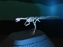 Gasparinisaura skeleton mount.jpg