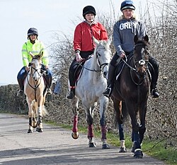 Horse riders near Bristol, England, in 2015 arp.jpg