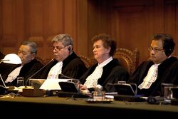ICJ-CJI hearing 1.jpg