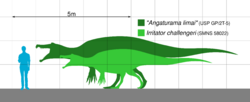 Silhouettes of two left-facing dinosaurs, a larger one in dark green and a smaller one in light green, compared with a blue human to their left