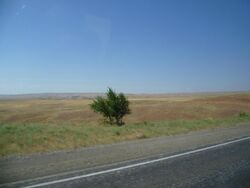 Kazakhstan steppe Zhambyl Province (4).jpg