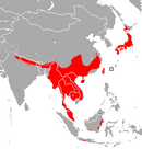 In China, India, Indonesia, Laos, Malaysia, Myanmar, Nepal, Thailand and Vietnam