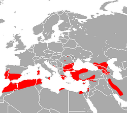 Mehely's Horseshoe Bat area.png