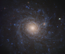 NGC 4571 - HST WFC3.png