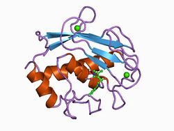 PDB 1a86 EBI.jpg