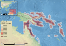 Native range of the Percula clownfish.