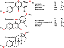 Phytoestrogens2.png