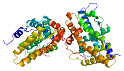 Protein PGR PDB 1a28.png