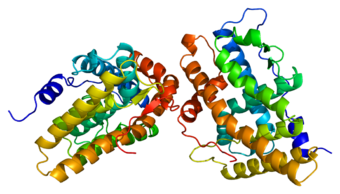 Protein PGR PDB 1a28.png