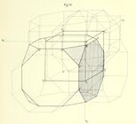 Runcitruncated cubic honeycomb (Schoute 1911).jpg