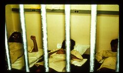 Photo taken through iron bars. Behind the bars, three people are lying on beds side by side, wearing identical white smocks with numbers on the chest.