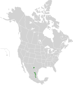 Sierra Madre Oriental Oak-Pine Forests map.svg