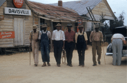 Tuskegee-syphilis-experiment-test-subjects.gif