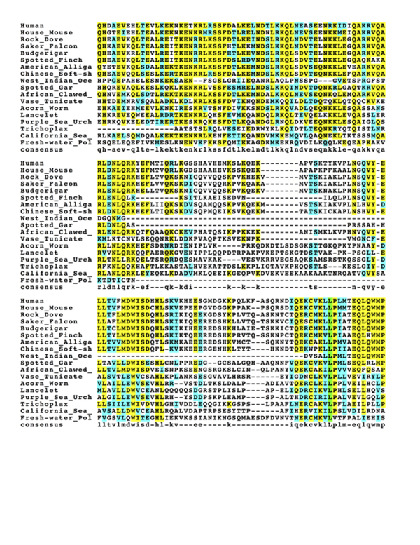 CCDC138 multiple sequence alignment showing conserved regions.