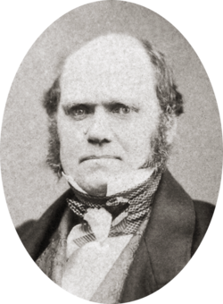 Studio photo showing Darwin's characteristic large forehead and bushy eyebrows with deep set eyes, pug nose and mouth set in a determined look; he is bald on top, with dark hair and long side whiskers but no beard or moustache