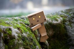 Danbo (2).jpg