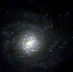 NGC 4041 hst 09042 R814G606B450.png