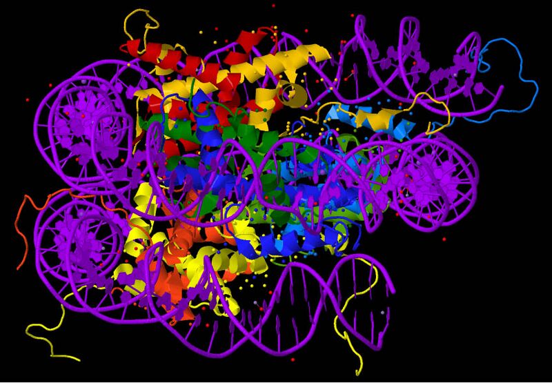 File:Nucleosome core particle 1EQZ v.4.jpg