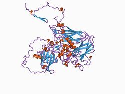 PDB 1b35 EBI.jpg