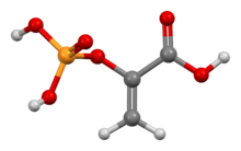 Phosphoenolpyruvic-acid-from-xtal-3D-bs-17.png