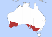 Coastal south and south-western Australia