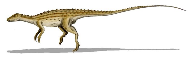 File:Scutellosaurus.jpg