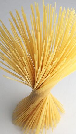 Spaghetti spiral, 2008.jpg