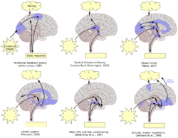 Timeline of brain models of emotion.svg