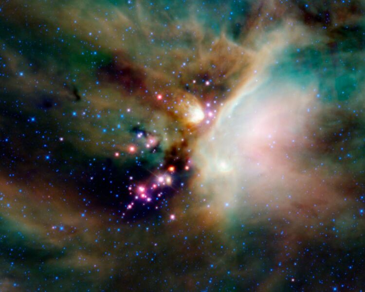 File:Young stellar objects in the Rho Ophiuchi cloud complex.jpg