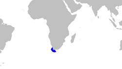 Apristurus saldanha distmap.png