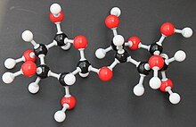 Cellobiose Molekülbaukasten 9515.JPG