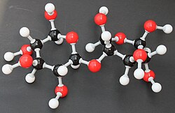 Cellobiose Molekülbaukasten 9515.JPG