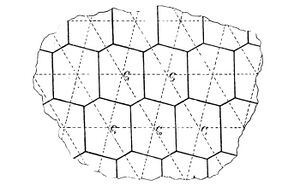 Fricke-Klein-1897-hexagon-parallelogram-1.jpg