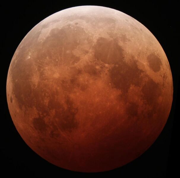 File:Lunar eclipse October 8 2014 California Alfredo Garcia Jr mideclipse.JPG