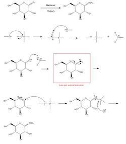 Mechanism of the Fischer Glycosidation Reaction.jpg