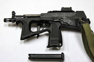 PP-2000 with detached magazine.jpg