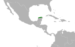 Polioptila albiventris map.svg