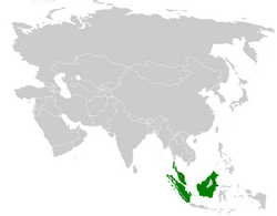 Pycnonotus brunneus distribution map.png