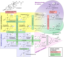 Chemical-diagram flow chart