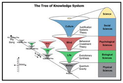 Tree of Knowledge System.png
