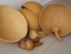 2007.10-310-270 Bottle gourd,bowl,spoon(frm Sikasso) Bamako,ML mon29oct2007-1315h.jpg