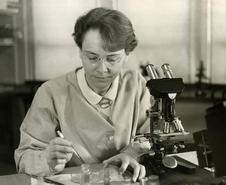 File:Barbara McClintock (1902-1992) shown in her laboratory in 1947.jpg