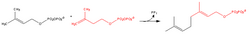 Cholesterol-Synthesis-Reaction8.png