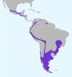 Cistothorus platensis map 2019.svg