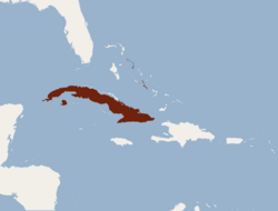 Distribution of Nyctiellus lepidus.png